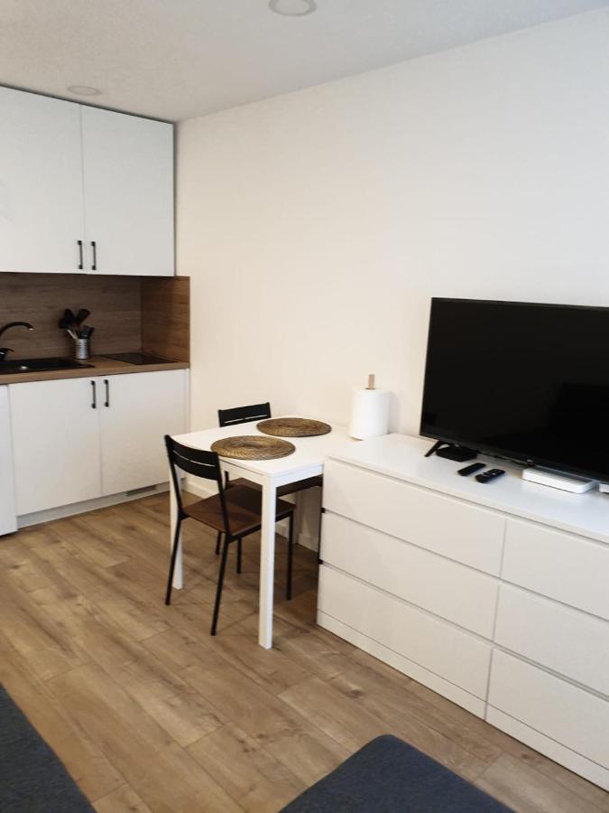 Studio Rent In Zarasai Exteriör bild