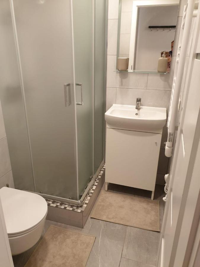 Studio Rent In Zarasai Exteriör bild